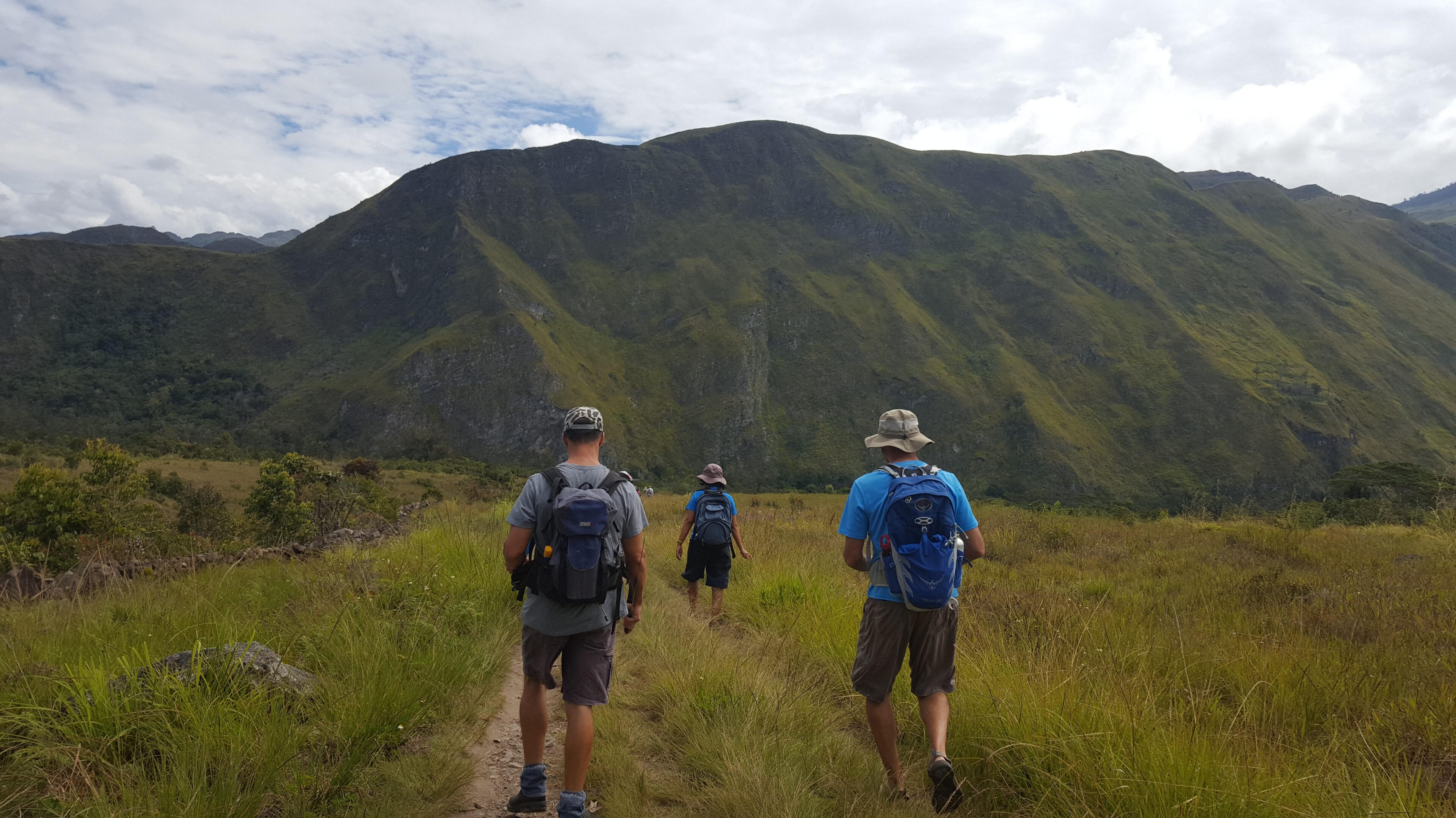 Functional Fitness and Training